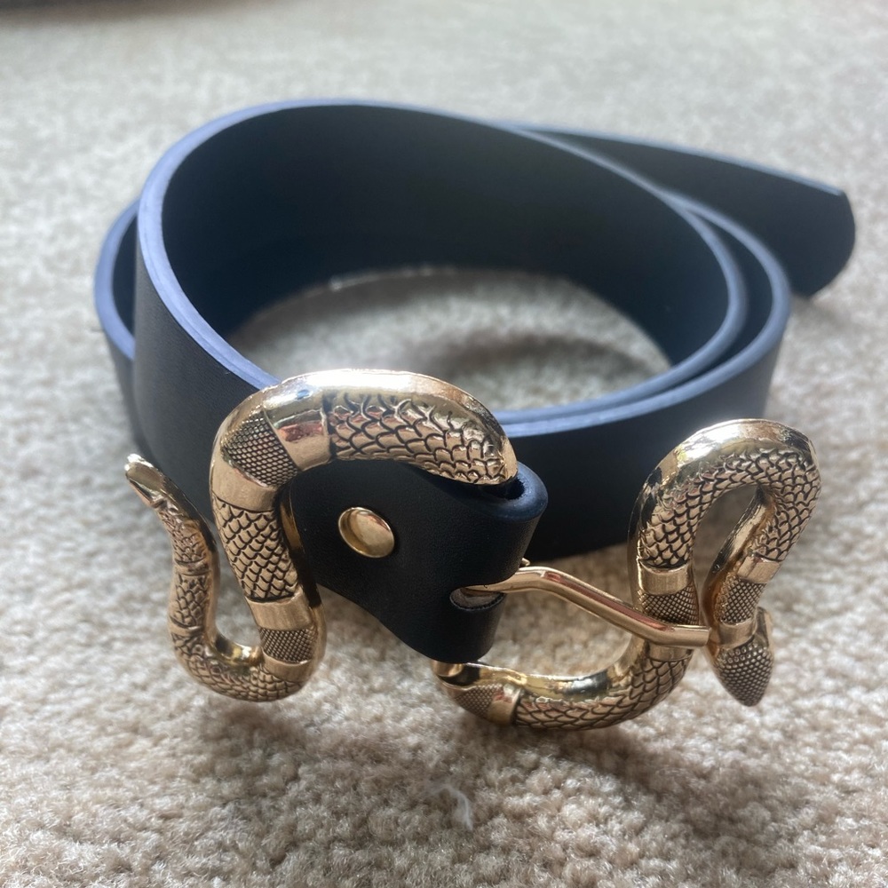 Black snake belt